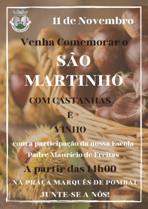 S&atilde;o Martinho dia 11 de Novembro