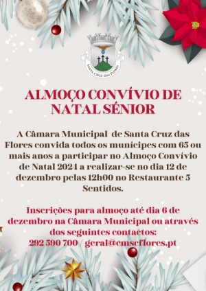 Almo&ccedil;o Conv&iacute;vio de Natal S&eacute;nior