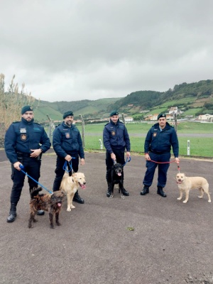 C&acirc;mara Municipal de Santa Cruz das Flores associa-se &agrave; &ldquo;C&atilde;ominhada&rdquo;