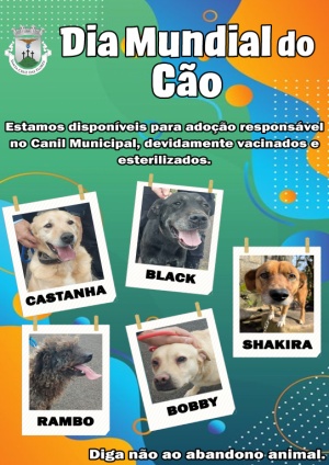 Dia Mundial do C&atilde;o