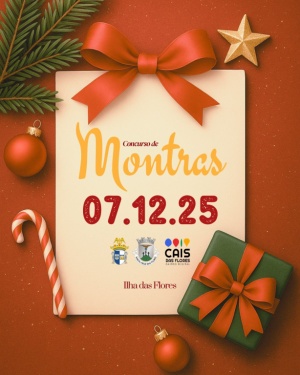 Concurso de Montras 7 de Dezembro