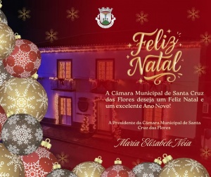 Votos de um Feliz Natal e Excelente Ano Novo!