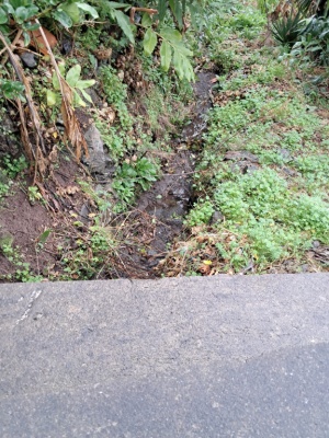 Limpeza de Aquedutos na Freguesia dos Cedros