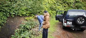 C&acirc;mara Municipal e Junta de Freguesia de Santa Cruz das Flores realizam visitas aos caminhos agr&iacute;colas para refor&ccedil;o da limpeza e manuten&ccedil;&atilde;o