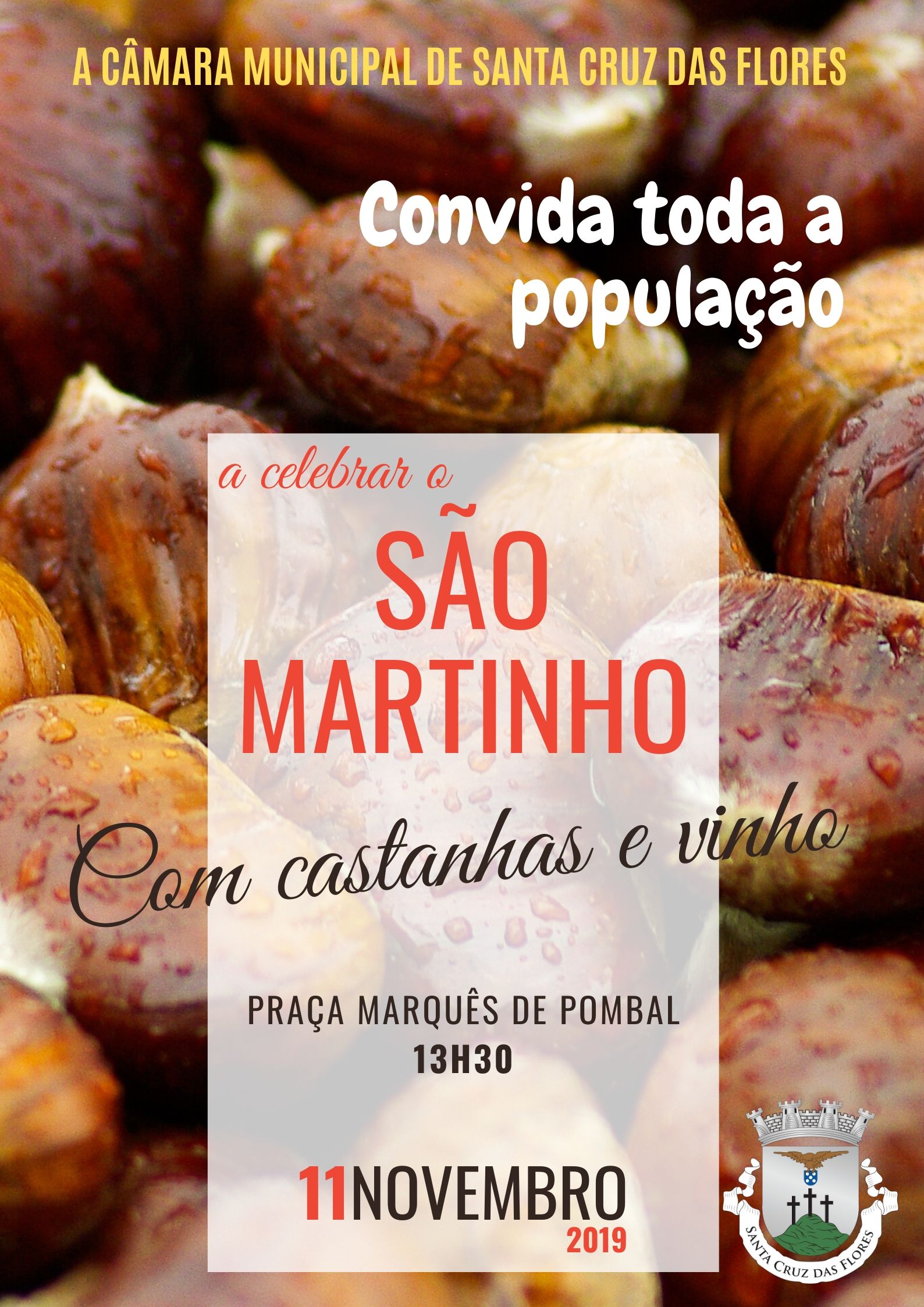 Cartaz de S&atilde;o Martinho