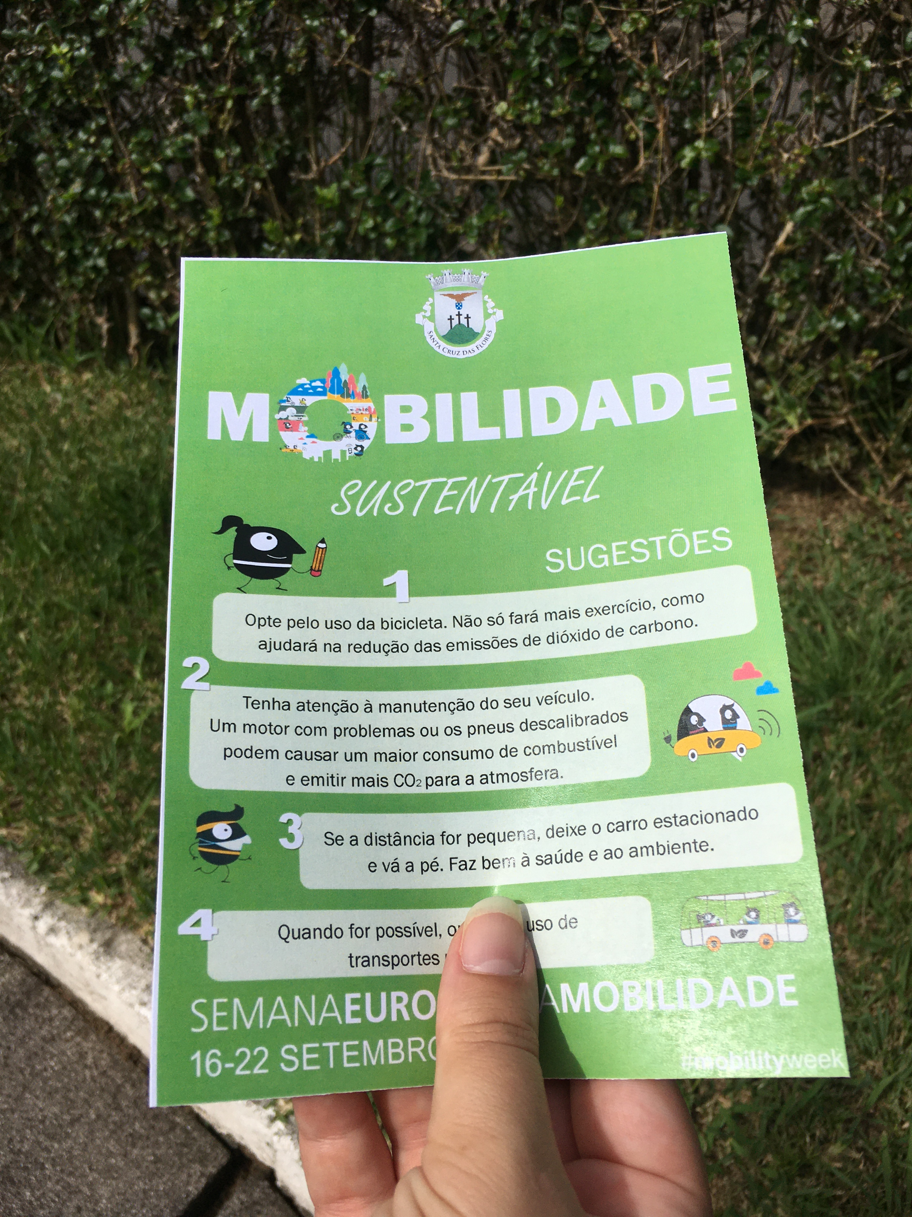 http://www.cmscflores.pt/fotos/upload/1600959370.jpg